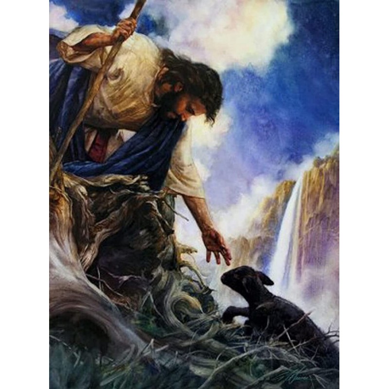 5D gyémánt mozaik - Pásztor