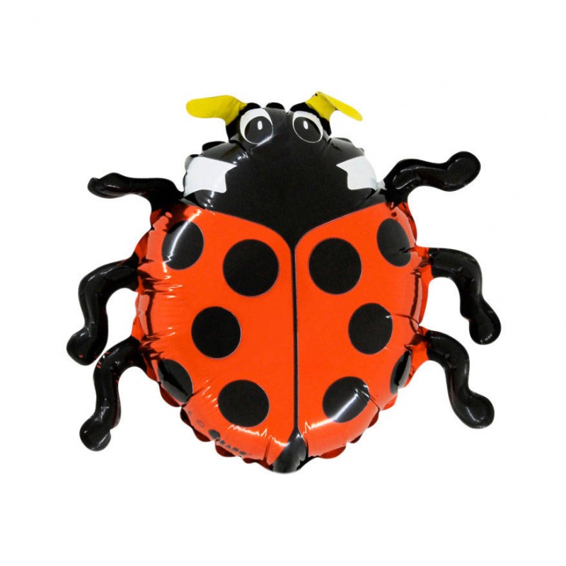 Fólia lufi - Katicabogár - 54 cm