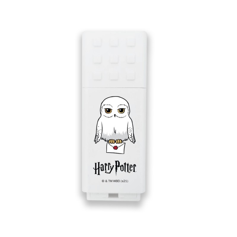 Design USB kulcs - Harry Potter 32 GB