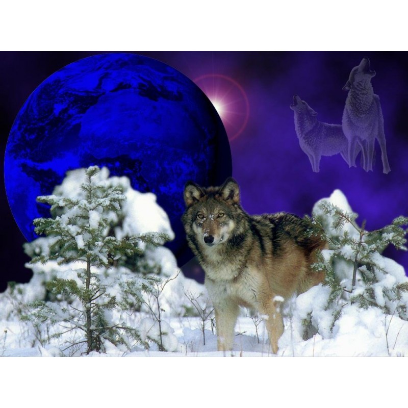 5D gyémánt mozaik – Farkas zarándokútja