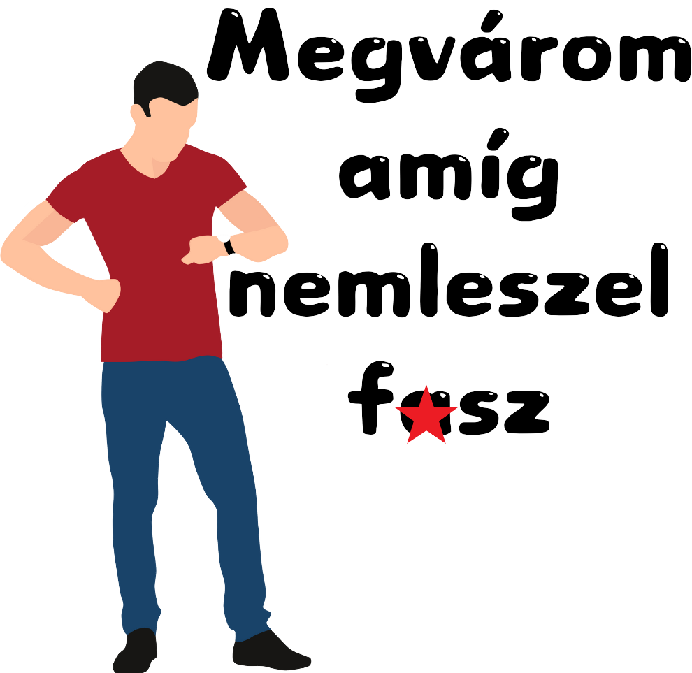 Bögre - Megvárom, amíg nemleszel f✶sz330ml