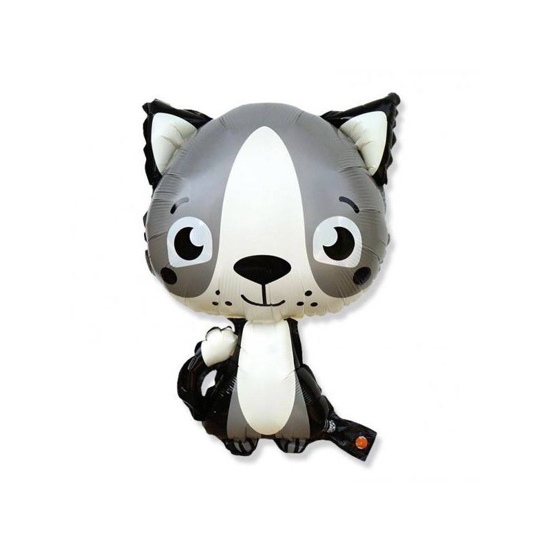 Fólia lufi - Kandúr - 63x44,5 cm