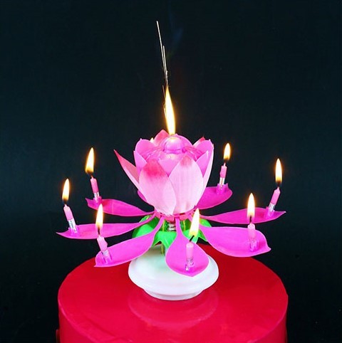 Torta - gyertya -Születésnapi -zenélő - lótuszvirág Rózsaszín: Rózsaszín