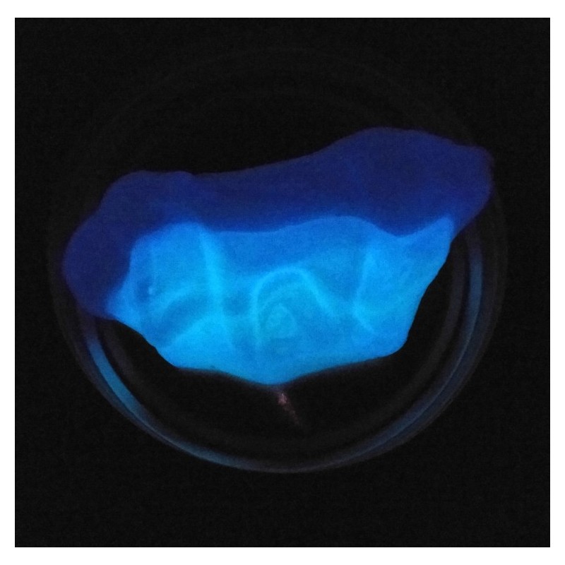 Intelligens gyurma – Utazás az időben