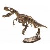 t rex a kis paleontologusnak 3d 2