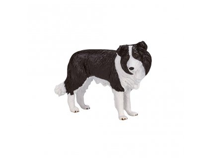 Mojo Border kolie