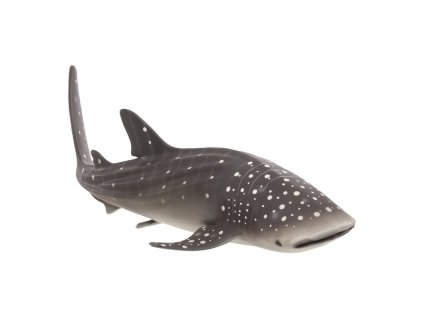 Mojo Žralok obrovský