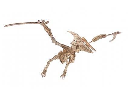 Woodcraft Dřevěné 3D puzzle Pterosaur