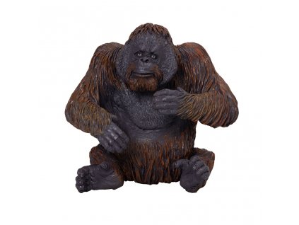 Mojo Orangutan