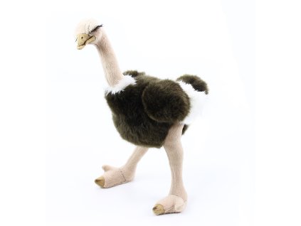 Rappa Plyšový pštros Emu 32 cm