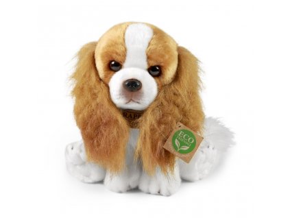 Rappa Plyšový pes kavalír King Charles španěl 28 cm ECO-FRIENDLY