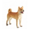 Mojo Pes shiba-inu