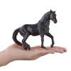 Mojo Andaluský kůň černý