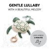 Hauck Hudební zvířátko Cuddle N Sleep Turtle