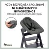 Hauck Alpha+ dřevěná židle+novorozenecký set polohovací, 0m+, Dark Grey
