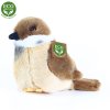 Rappa Plyšový pták vrabec stojící 13 cm ECO-FRIENDLY