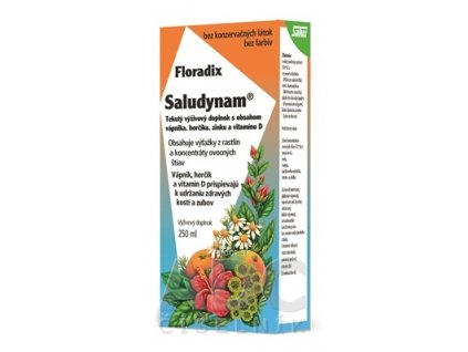 SALUS Floradix Saludynam tekutá froma 1x250 ml