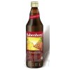 Rabenhorst Ananásová šťava 1x750 ml