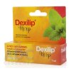 Dexilip Herp gél 1x7 ml