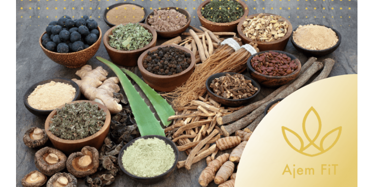 Adaptogeny - přírodní podpora proti jarní únavě a stresu