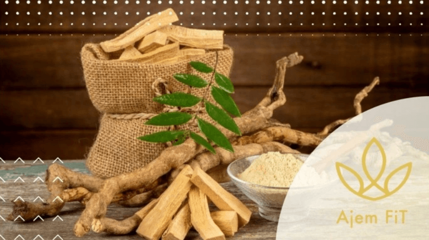 Tongkat Ali: přírodní zázrak známý jako malajský ženšen