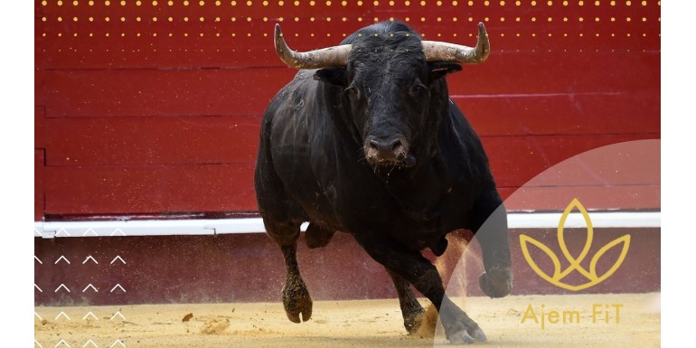 Býčí žlázy a koule: Od pastvin až po doplněk stravy