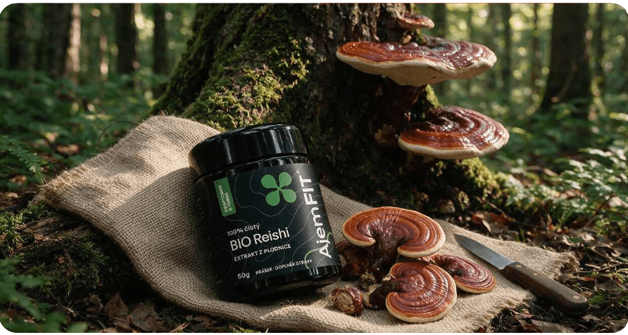 Příběh houby Reishi: Od houby nesmrtelnosti k modernímu biohackingu pro klidnou hlavu a hluboký spánek