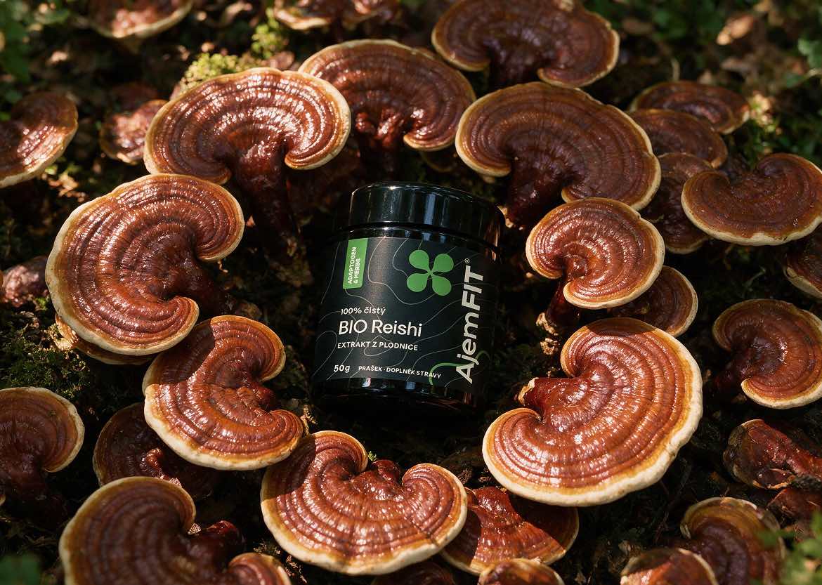 Proč zvolit AjemFIT BIO Reishi extrakt