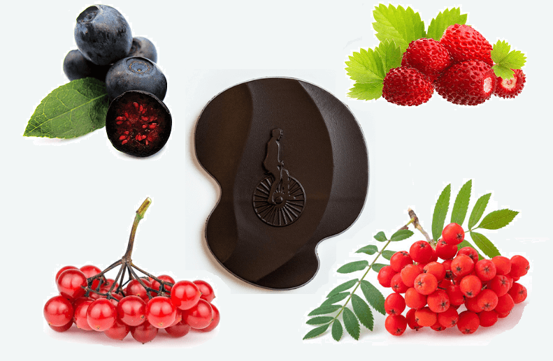 Forest Berries 67% (Litva) -57g (Naive)