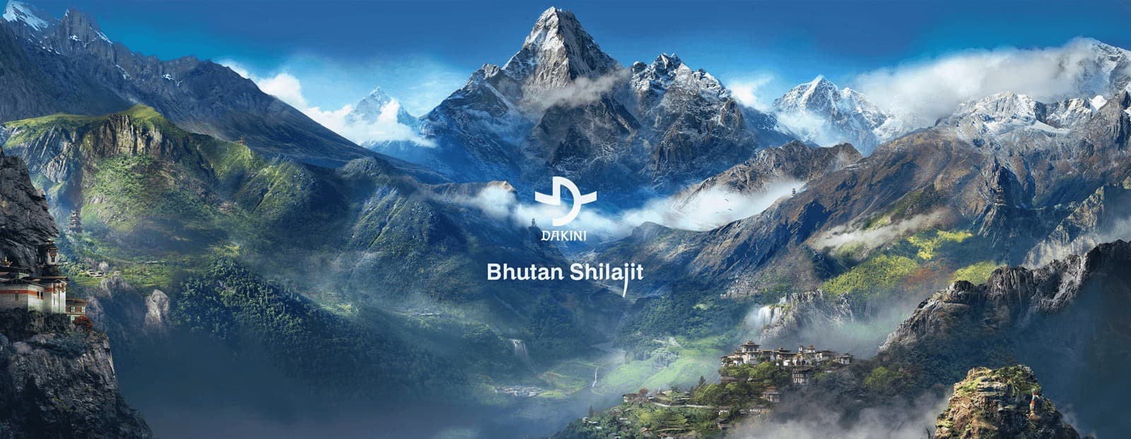Bhutan shilajit DAKINI