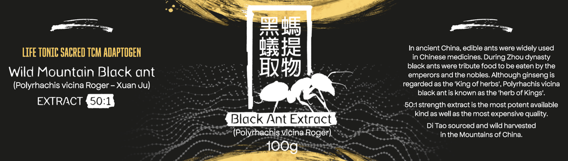 ETIKETA black ant.