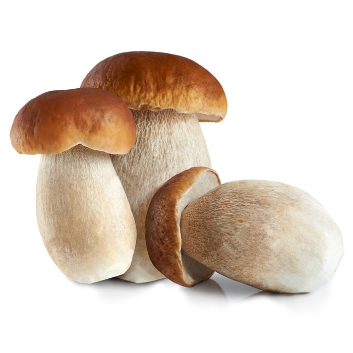 PORCINI NAIVE