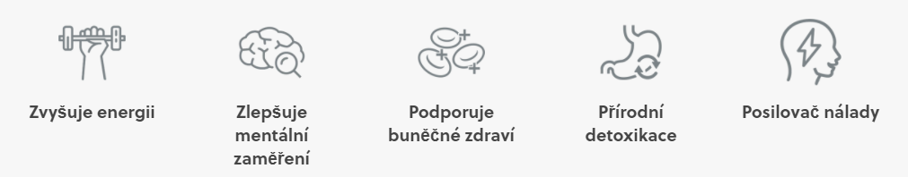Účinky fytoplanktonu.