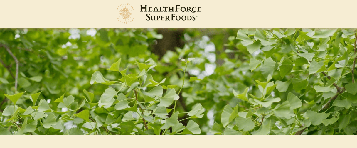 Ginko biloba