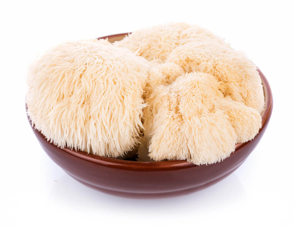 BIO LVÍ HŘÍVA EXTRAKT (Hericium) -120 kapslí (AjemFiT)
