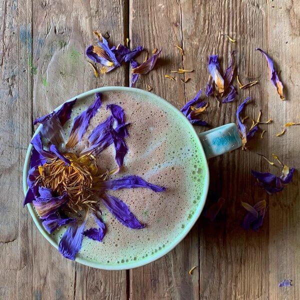 Blue lotus anima mundi