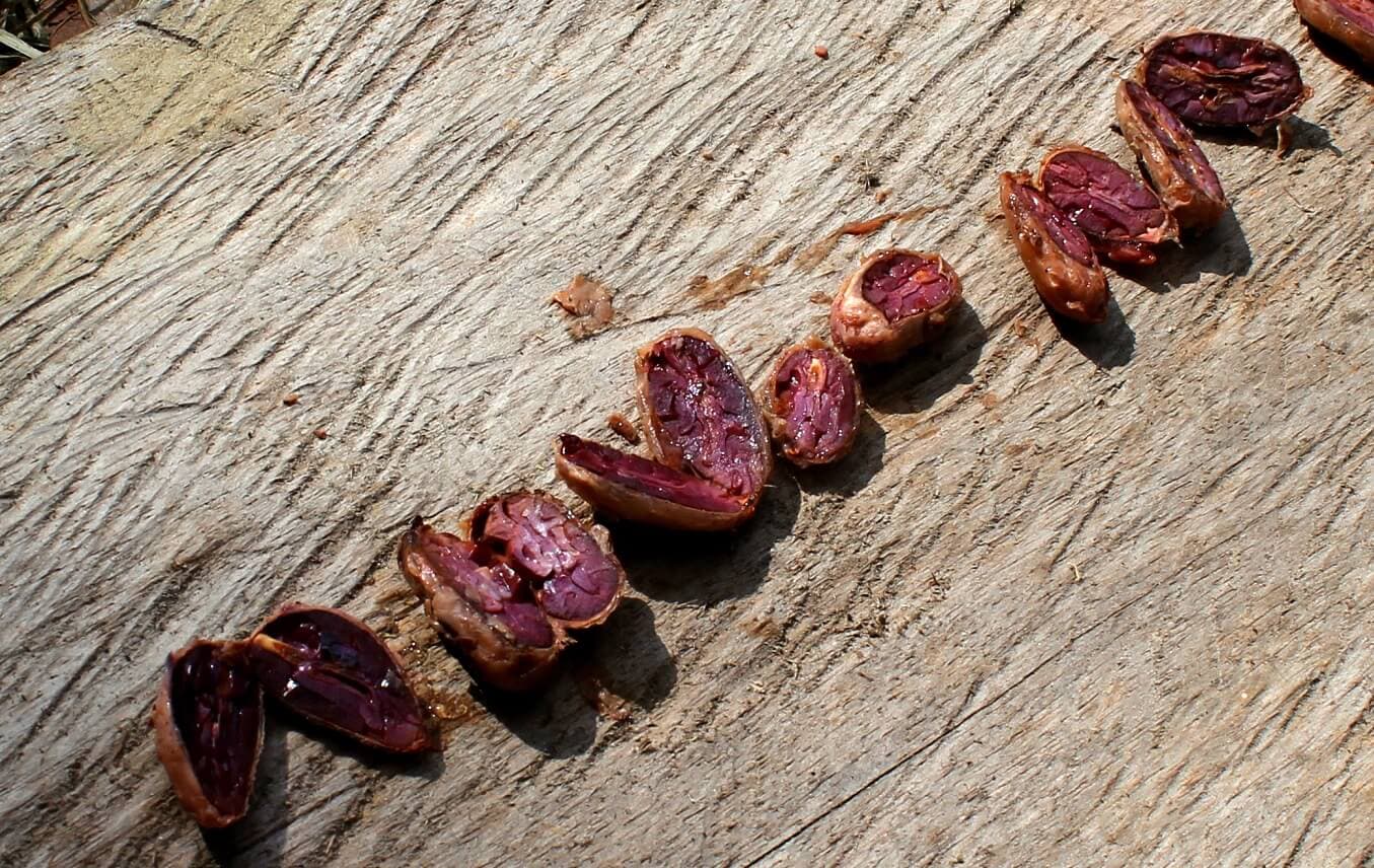 DONKEY PURPLE (Alkalická Oslí darkmilk s bambusovou solí) -50g (NAIVE)