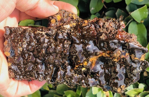 HIMALAIAN SHILAJIT