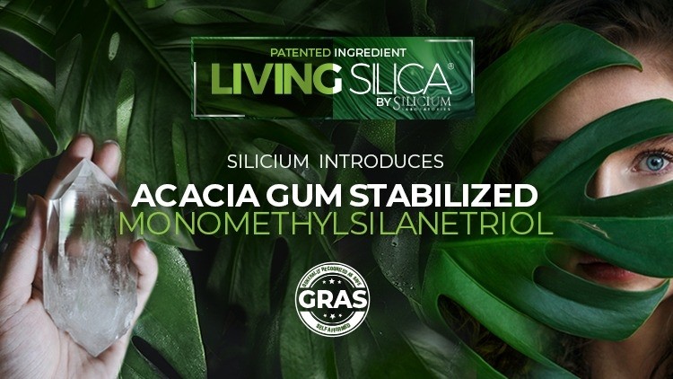 Silica banner