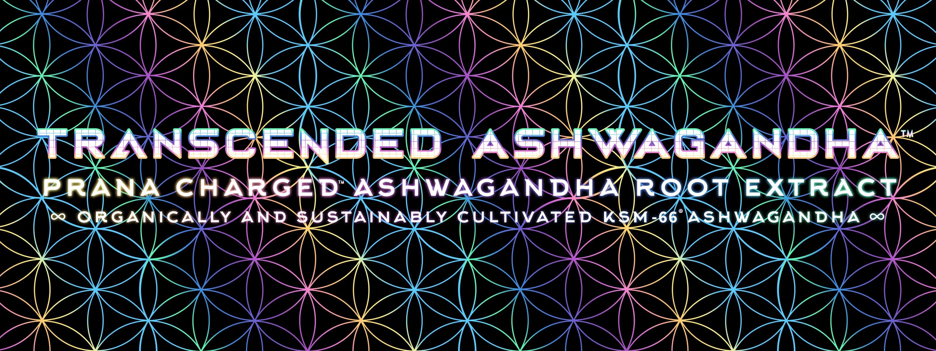 TRANSCENDED BIO ASHWAGANDHA -40g (Primal Alchemy)