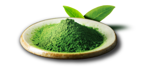 Matcha