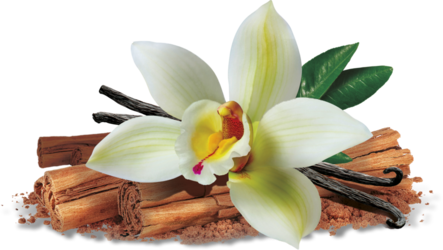 Vanilka