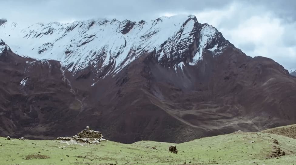 bhutansiteofcollect