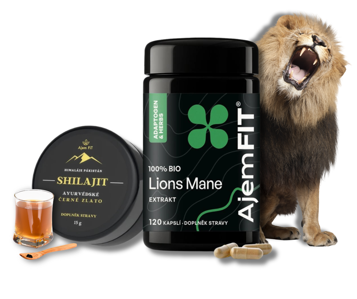 Výhody balíčku pro Mozek, Paměť a Soustředění