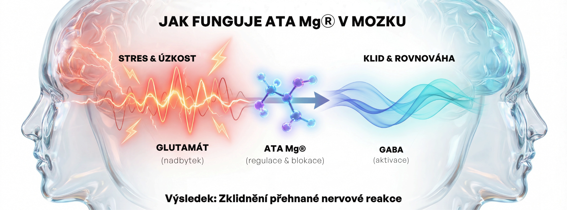 ATA Mg® Magnesium Acetyltaurinate