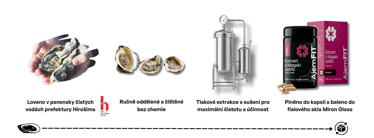 Proces zpracování ústřic Magaki