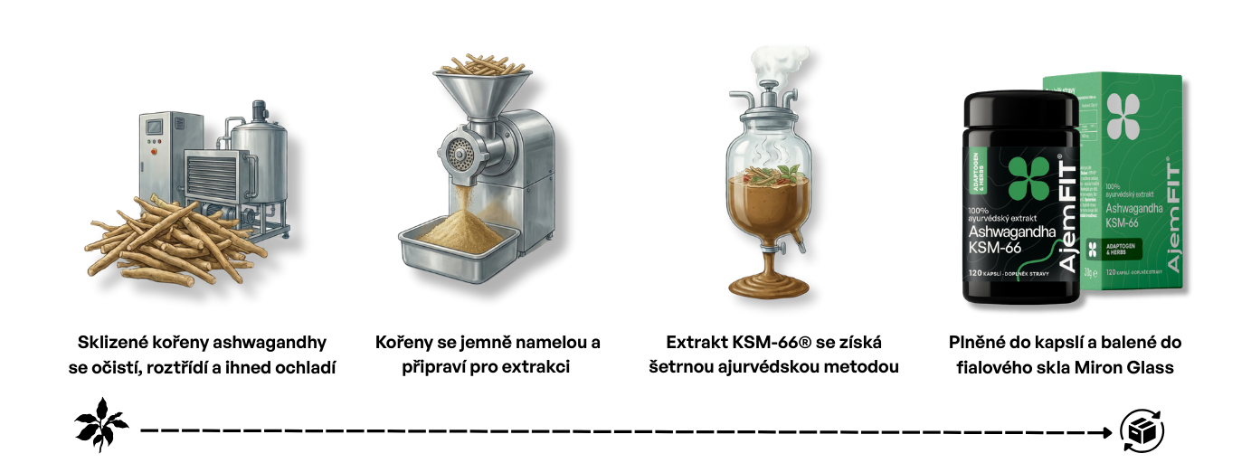 Proces výroby Ashwagandhy KSM-66®
