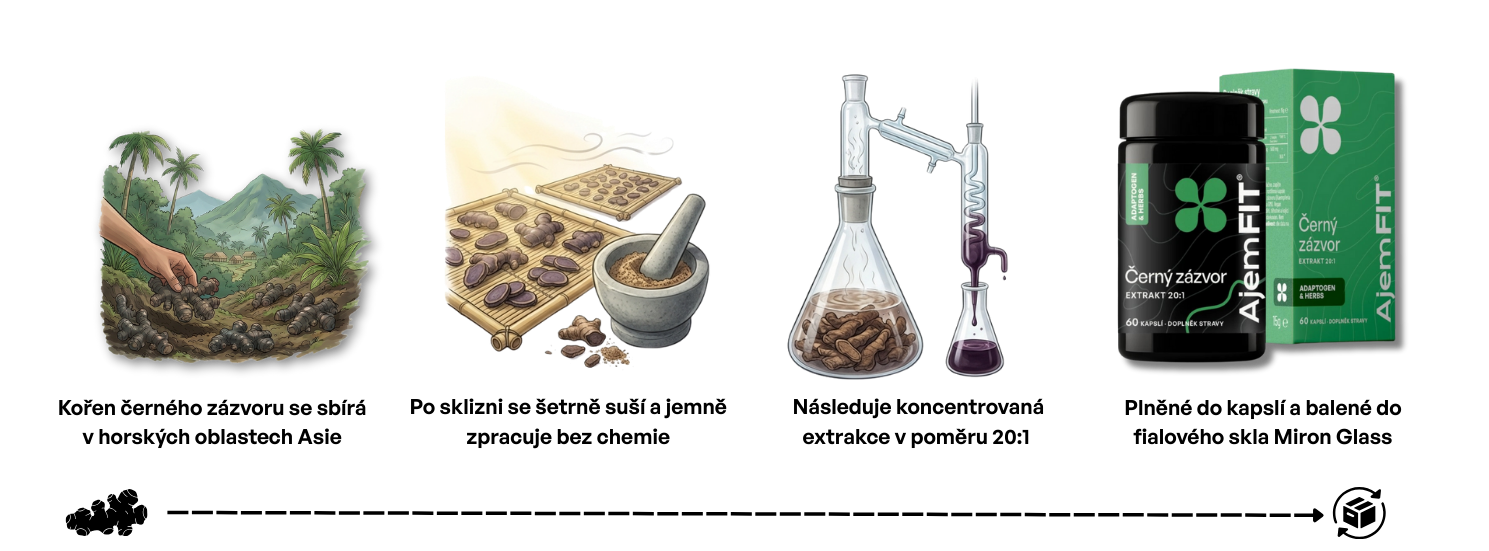 Proces výroby černého zázvoru