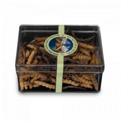Divoký Cordyceps (Pravý - Sinensis) -5g (Bhután) (CORDYCEPS Jakost A++)