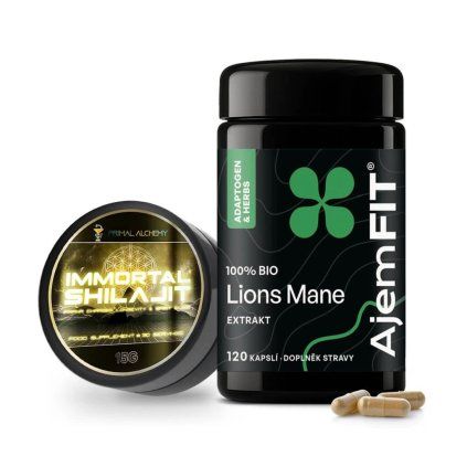 soustředění pamet mozek